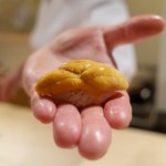 寿しの吉乃 - 赤ウニ