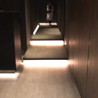 USHIGORO S. GINZA - 