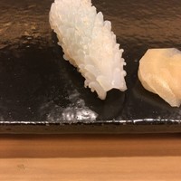 たつ庄 - ヤリイカ