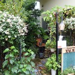 VIETNAM FRENCH XUAN - 外観