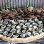 海女小屋はちまんかまど - 採れたての海産物！