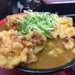極楽うどん TKU - 鶏天カレーうどん（中盛 500g）（￥950）