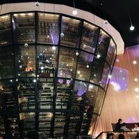 RESTAURANT DAZZLE - 