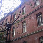 Cafe 1894 - 煉瓦の建物には秋が似合います