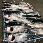 Sushi Bar にぎりて - 