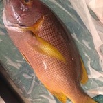 Sushi Bar にぎりて - 