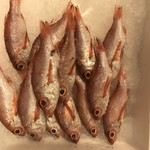 Sushi Bar にぎりて - 