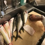 Sushi Bar にぎりて - 