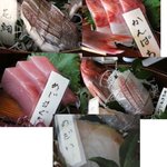 Shoutokumaru - 花鯛、かんぱち、めじまぐろ、ちかめキンキ、めだい