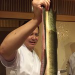 はらまさ - はらさんが天然鰻見せてくれました。