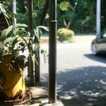 バッケンバルト - 