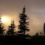 十勝岳温泉 湯元 凌雲閣 - 針葉樹の向こう、厚い雲の合間を縫って太陽が姿を現しました