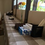 ハイナン焼きショーロンポー - カウンター