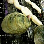 磯丸水産 - 白蛤の殻焼、ツブ貝の串焼
