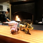 TACUBO - 豚ちゃんこんにちは