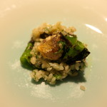 TACUBO - 愛知の鮎のコンフィのリゾット