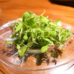 TACUBO - はらみの付け合わせ