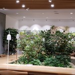 innisfree GREEN CAFE - 