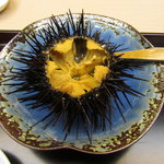 すし処 かね田 - 種市産がぜウニ