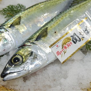 食道楽とさか_1