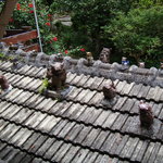 Yachimun Kissa Shisaen - 2階から屋根を。シーサーがいっぱい