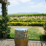 Ponte Winery - 