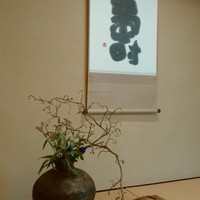 嵯峨野 - 