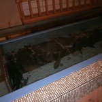 さかなや本舗 - 店内②