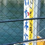 いか本家 本店 - 