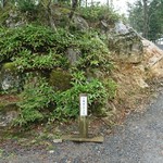 カフェー清涯荘 - 