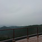 カフェー清涯荘 - 