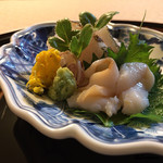 御料理 寺沢 - 鮎魚女の焼霜造りに石垣貝の湯霜造り