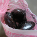 乳頭温泉郷 妙乃湯 - ぬれ華まめ喰らう