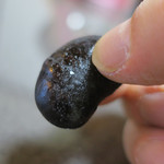 乳頭温泉郷 妙乃湯 - ぬれ華まめ喰らう