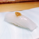 Sushi Benkei Umi - ●赤いか様