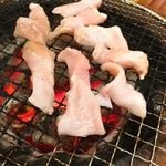 焼肉処 まるます家 - ガツ♬︎美味♡とまりませ〜ん(,,>᎑<,,)