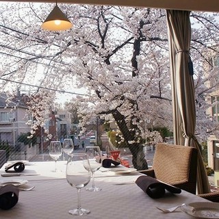 窓側テーブル席（桜のシーズン）