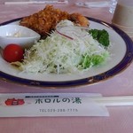 Oshokujidokoro Hororu - 鶏唐揚げネギ醤油かけ定食のおかずだけ