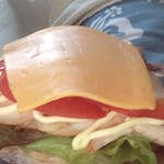 Hibi Kitchen - スパイシーチキンとトマトチーズ