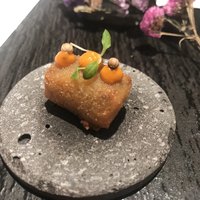 ジョンティ アッシュ - 