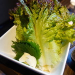 Nikushou Mizuki - つつみ野菜