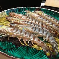 お料理 佐藤 - 