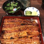 うなぎ 魚政 - 