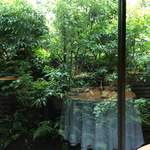 レフェルヴェソンス - 