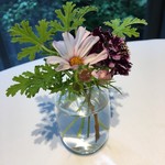 レフェルヴェソンス - 