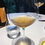 レフェルヴェソンス - 