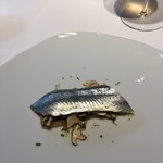 レフェルヴェソンス - 