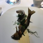 レフェルヴェソンス - 