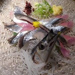 旬彩 凛 - 秋刀魚の刺身