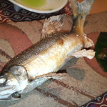 京の味 桜川 - 鮎